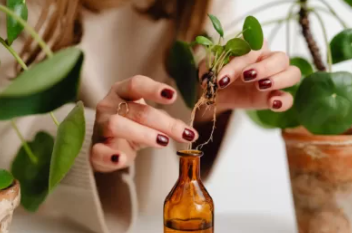 Screenshot 2024-11-13 221551